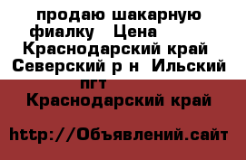 продаю шакарную фиалку › Цена ­ 160 - Краснодарский край, Северский р-н, Ильский пгт  »    . Краснодарский край